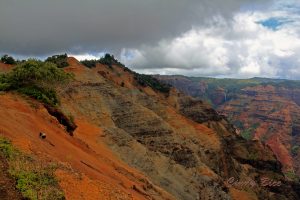 2016-08-09 28. WGS Waimea Canyon, Kauai Cry Uncle